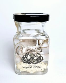 tierpräparat - Mini Oktopus mit vintages Label