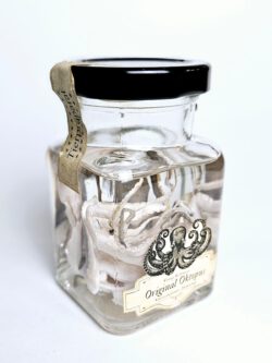 tierpräparat - Mini Oktopus mit vintages Label - Höllenshop - das kuriositätenkabinett